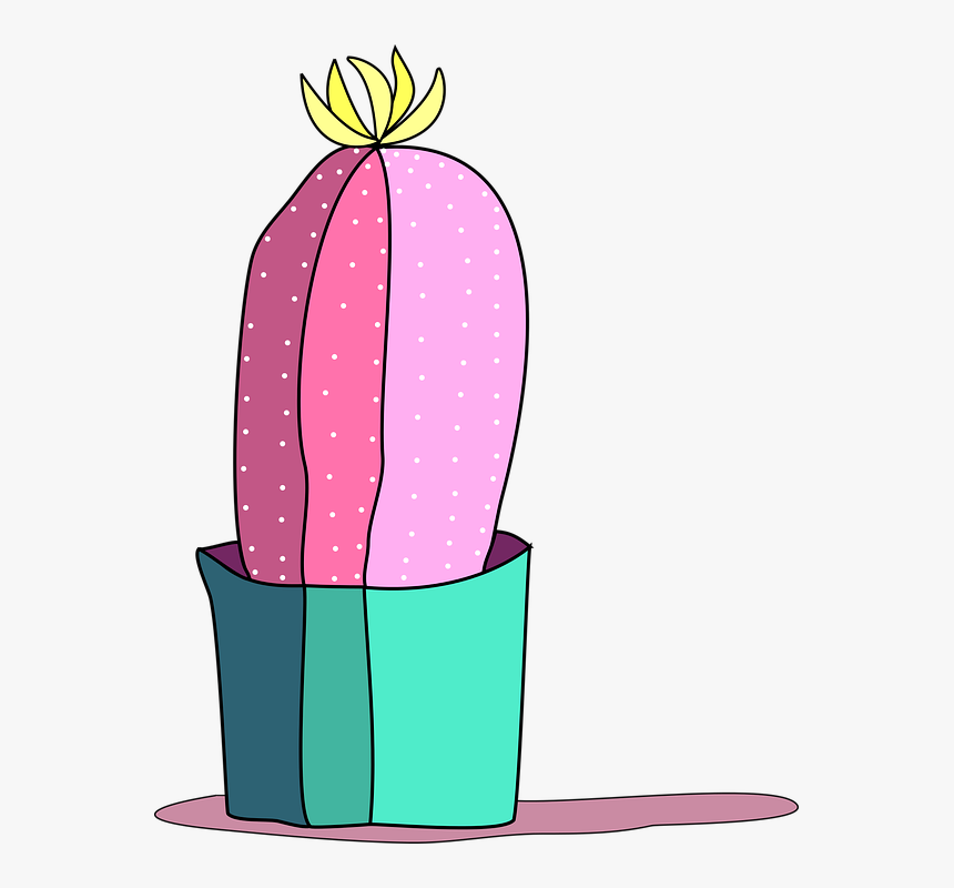Cactus, Pink Cactus, Cactus Illustration, Plant, Flower, HD Png Download, Free Download