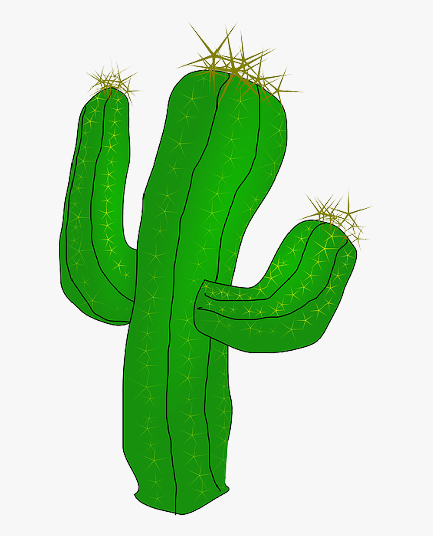 Cartoon Cactus Png - Cactus Clipart Transparent Background, Png Download, Free Download