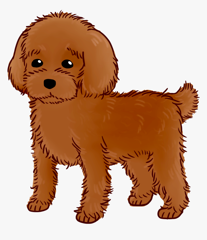 Goldendoodle Puppy Dog Breed Water Dog Companion Dog - Companion Dog, HD Png Download, Free Download