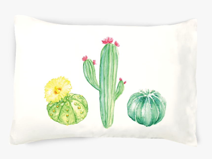 Transparent Pillowcase Clipart - Cactus, HD Png Download, Free Download