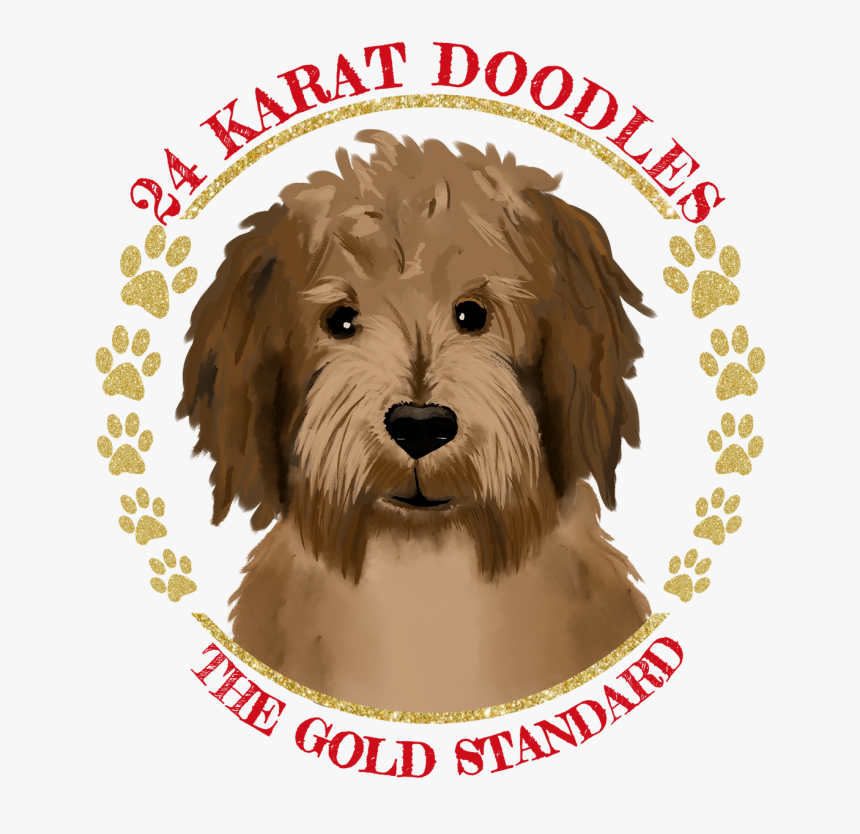 Amandaslogofinal Transparent - Schnoodle, HD Png Download, Free Download