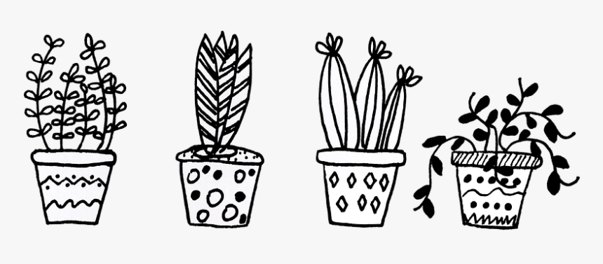 Plants, Flowerpot, Cacti, Flowers, Flower, Plant - Cactus Black And White Png, Transparent Png, Free Download