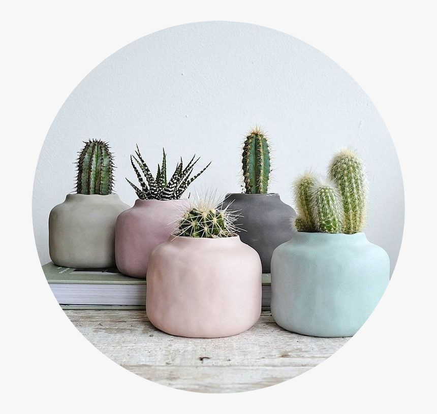 Tumblr Aesthetic Pastel Kaktus Png Cactus Aesthetic - Vase Pastel, Transparent Png, Free Download
