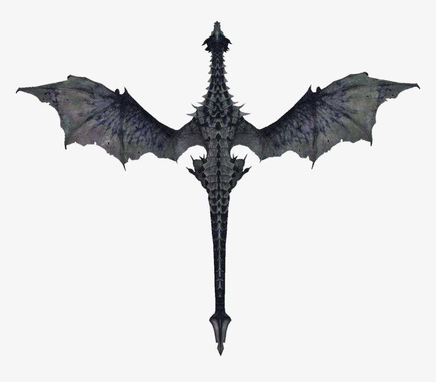 Skyrim Dragon Top View, HD Png Download, Free Download