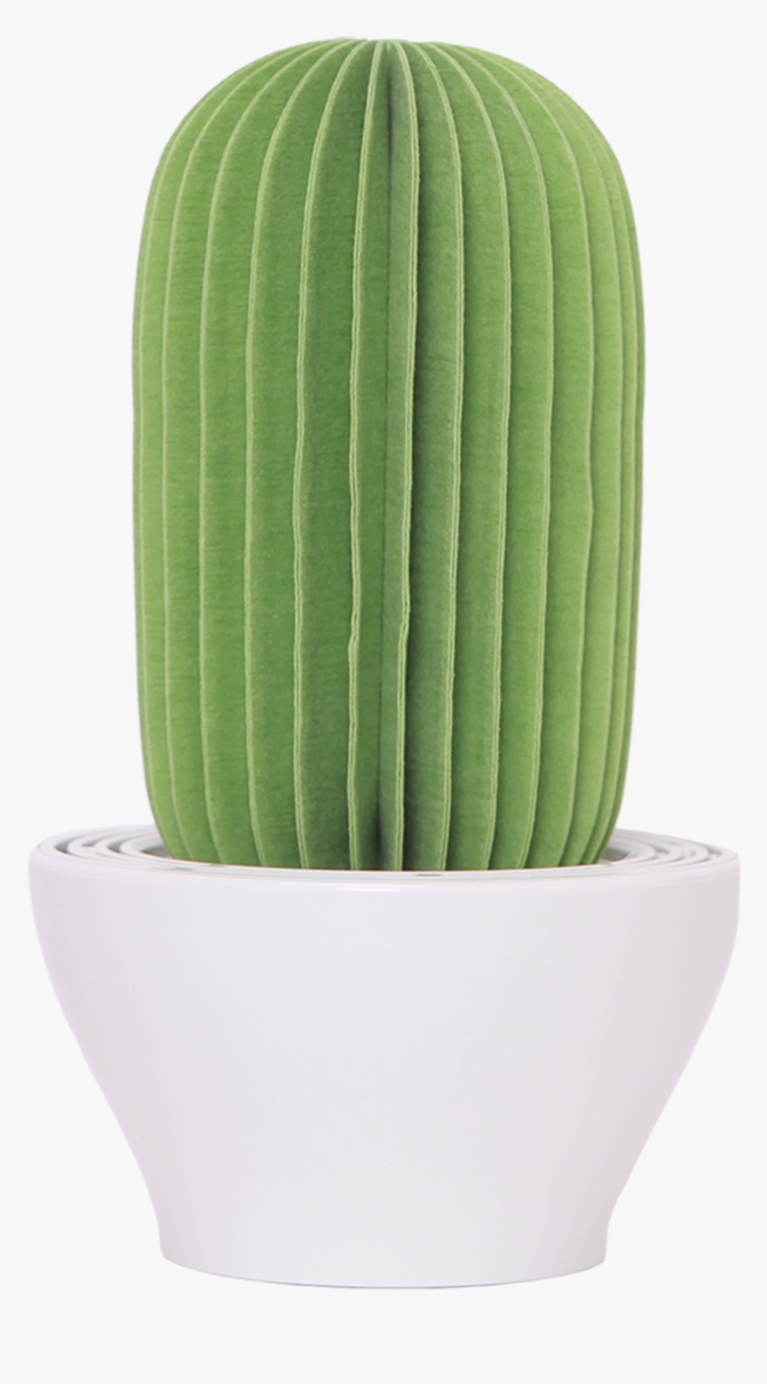 Cactus Non Electric Personal Humidifier In Green"
 - Hedgehog Cactus, HD Png Download, Free Download