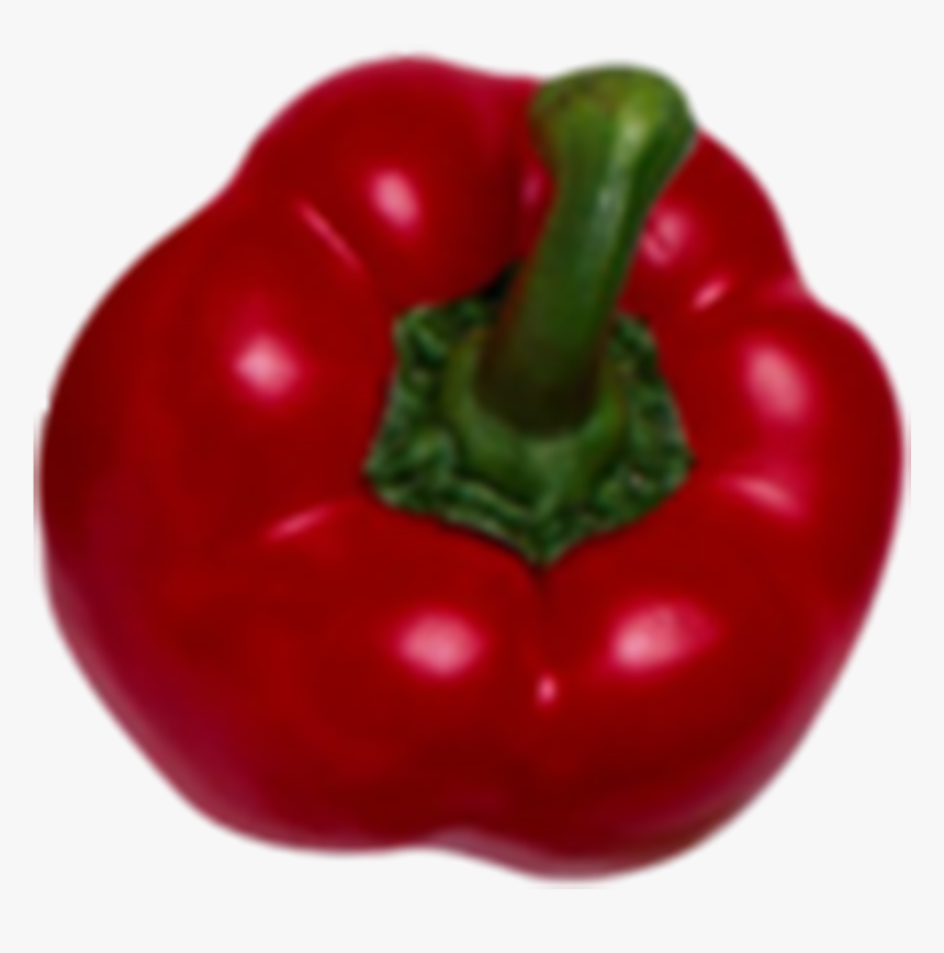 Chili Drawing Habanero, HD Png Download, Free Download