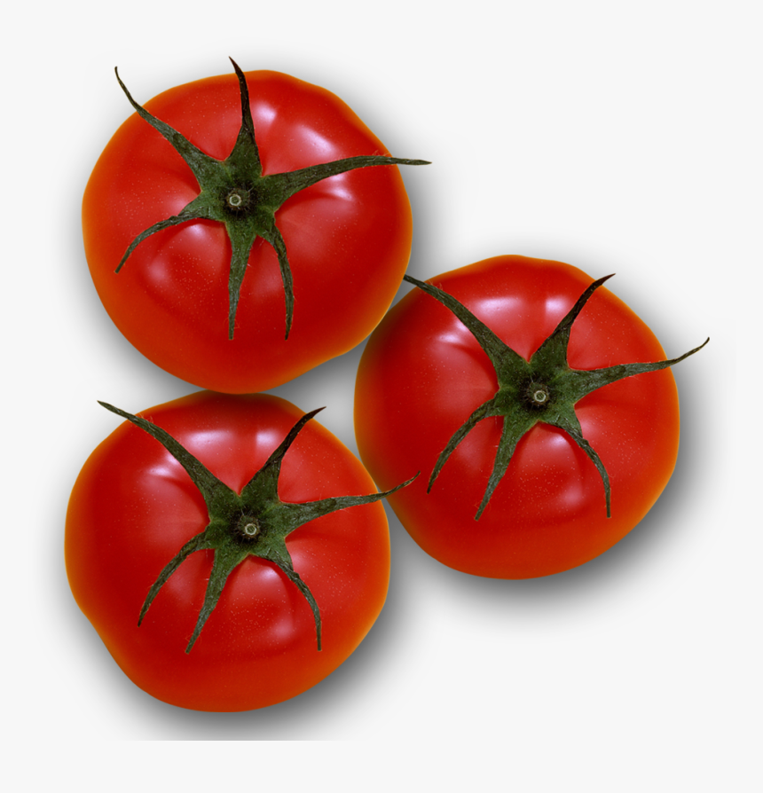 Plum Tomato Bush Tomato - Plum Tomato, HD Png Download, Free Download