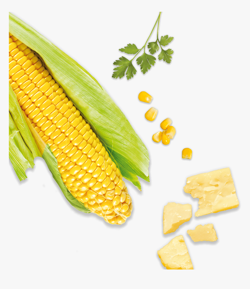 Corn Kernels, HD Png Download, Free Download