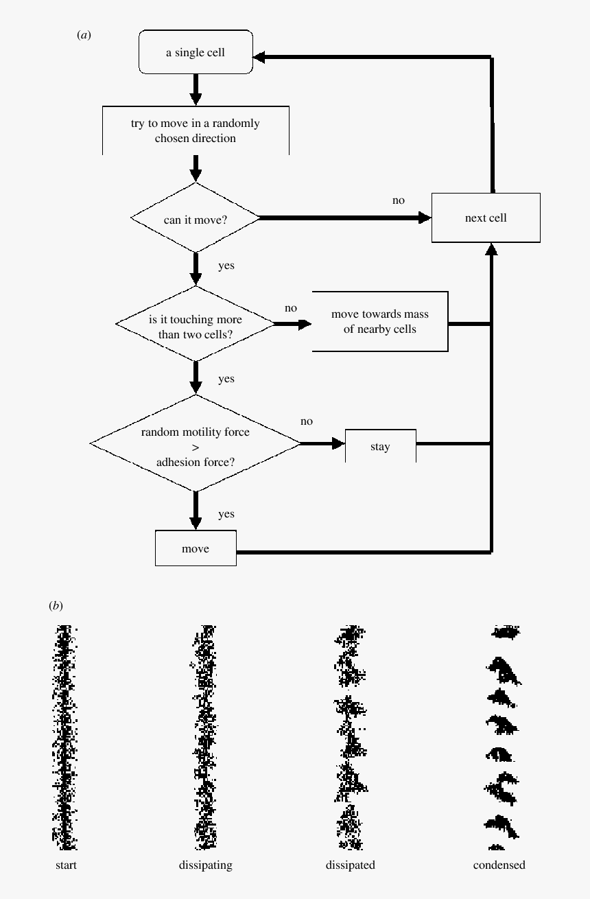 Diagram, HD Png Download, Free Download