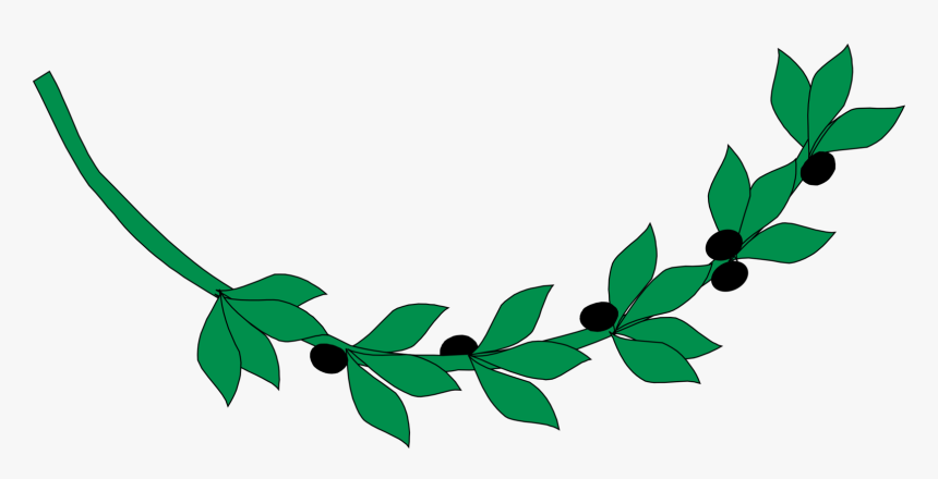 Plant,flora,leaf - Ancient Greece Olive Branch, HD Png Download, Free Download