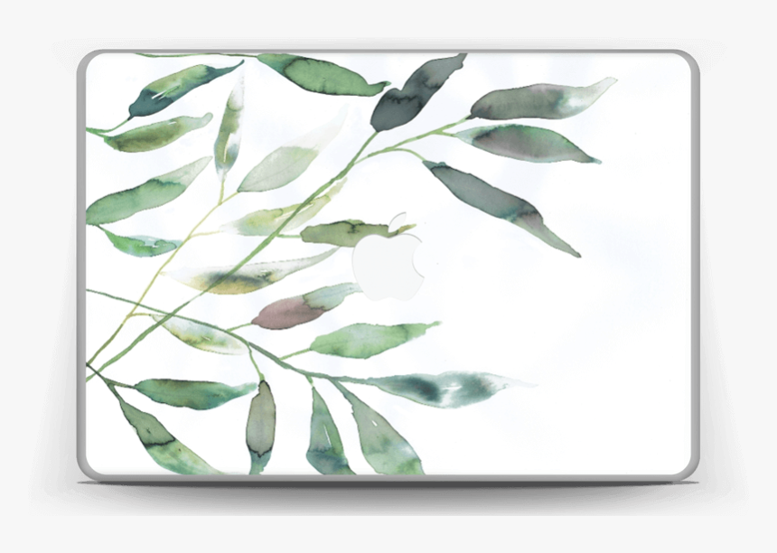 Olive Skin Macbook Pro 13” - Russian Olive, HD Png Download, Free Download