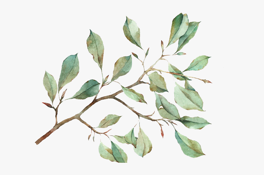 Watercolour Leaves Transparent Background, HD Png Download, Free Download