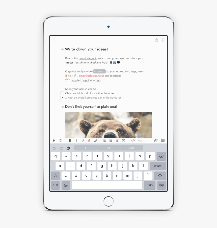 Bear On Ipad - Apple Keyboard Vs Gboard, HD Png Download, Free Download
