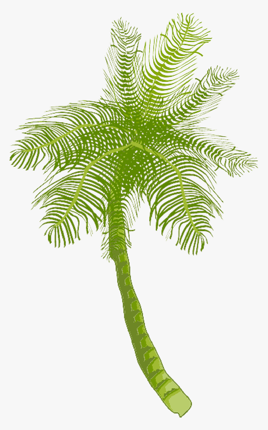 Tree, Ocean, Summer, Vacation, Beach, Palm Leaf - Coconut Tree Clip Art, HD Png Download, Free Download