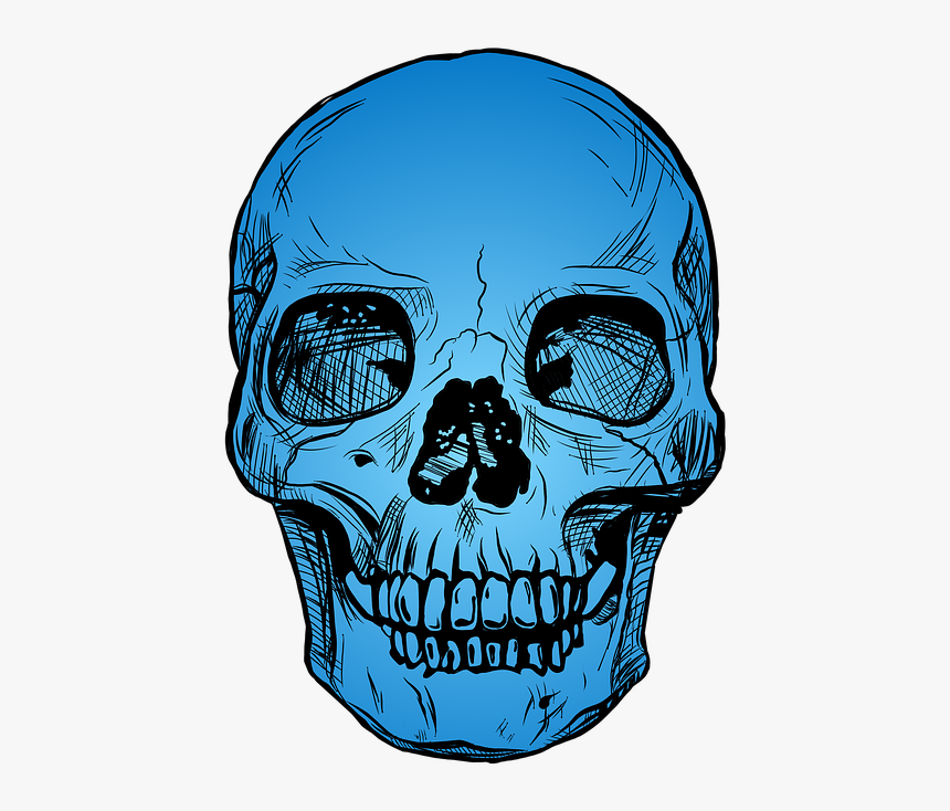 Skull, Blue, Skeleton, Death, Symbol, Dead, Bone, Head - Black And White Pic Of Skull, HD Png Download, Free Download