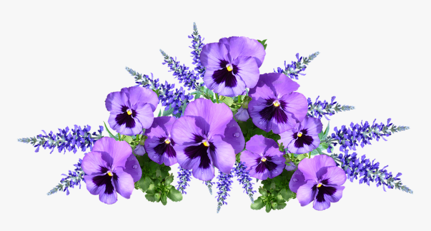 Flowers, Pansies, Purple, Arrangement, Cut Out - Pansies Png, Transparent Png, Free Download