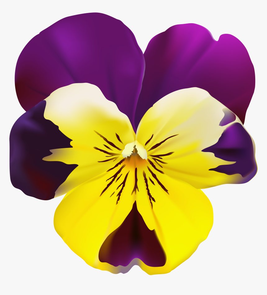 Clip Art Flowers Pansies - Pansy Flower Png, Transparent Png, Free Download
