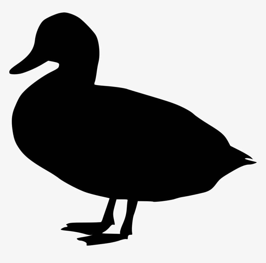 Duck - Duck Svg, HD Png Download, Free Download