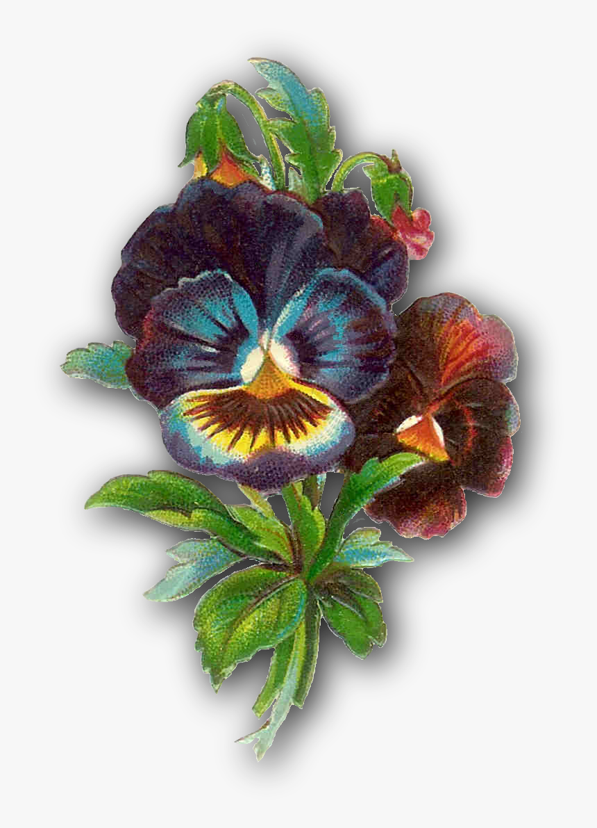 Victorian Flowers Clip Art, HD Png Download, Free Download