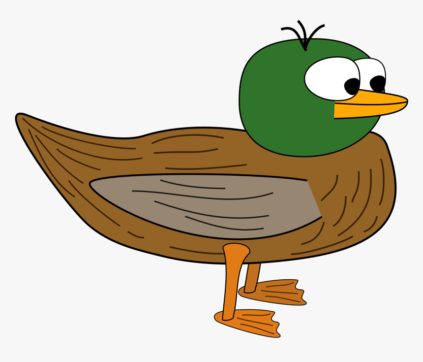 Drawing Ducks, Picture - Duck With No Legs, HD Png Download, Free Download