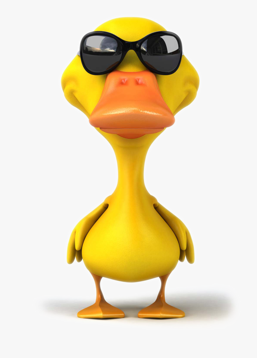 Pictures Photography Illustration Royalty-free Mallard - Duck With Sunglasses Clipart, HD Png Download, Free Download