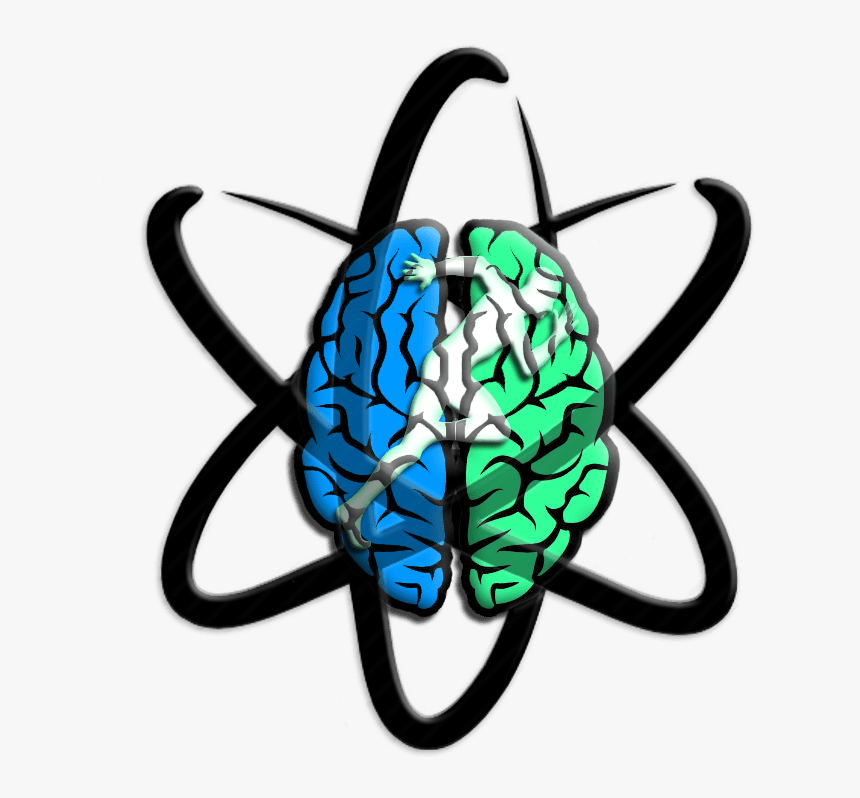 Neurophysicole, HD Png Download, Free Download