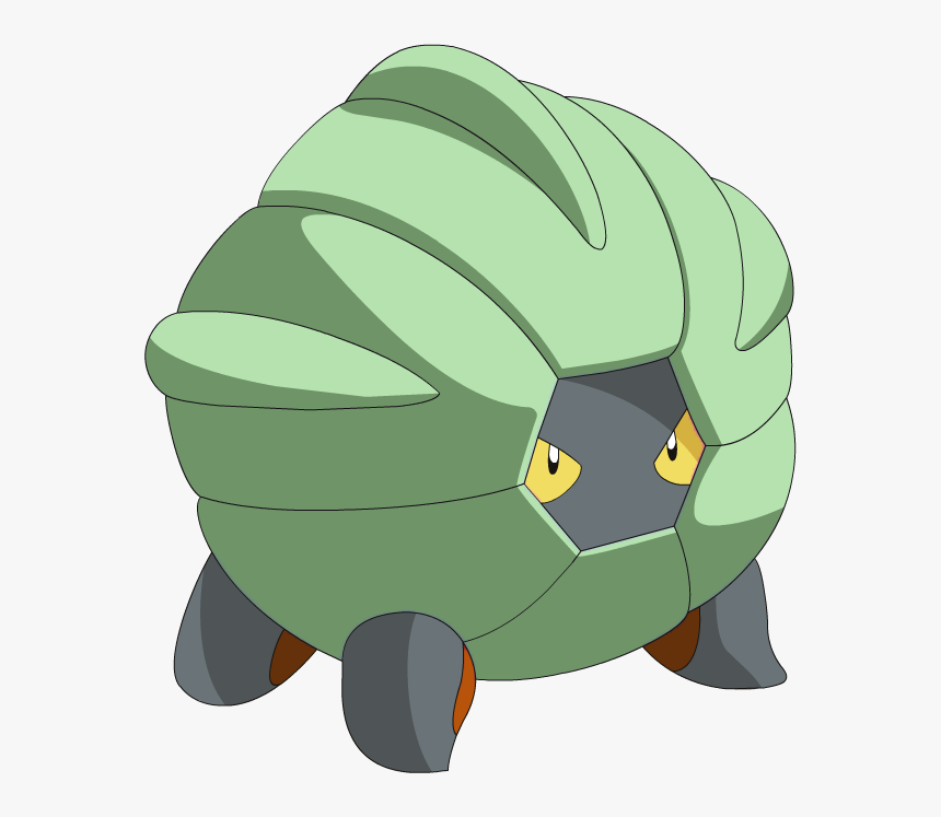 Tortoise, HD Png Download, Free Download