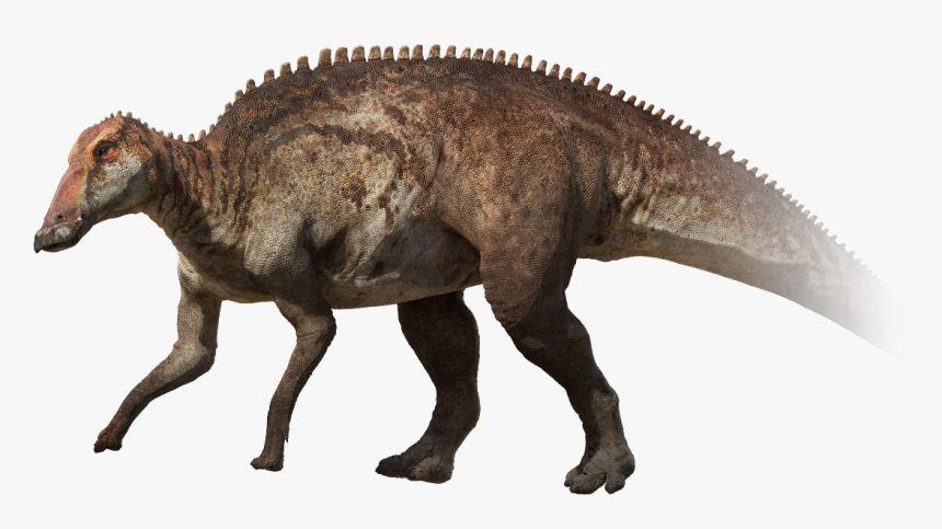 Edmontosaurus Png, Transparent Png, Free Download