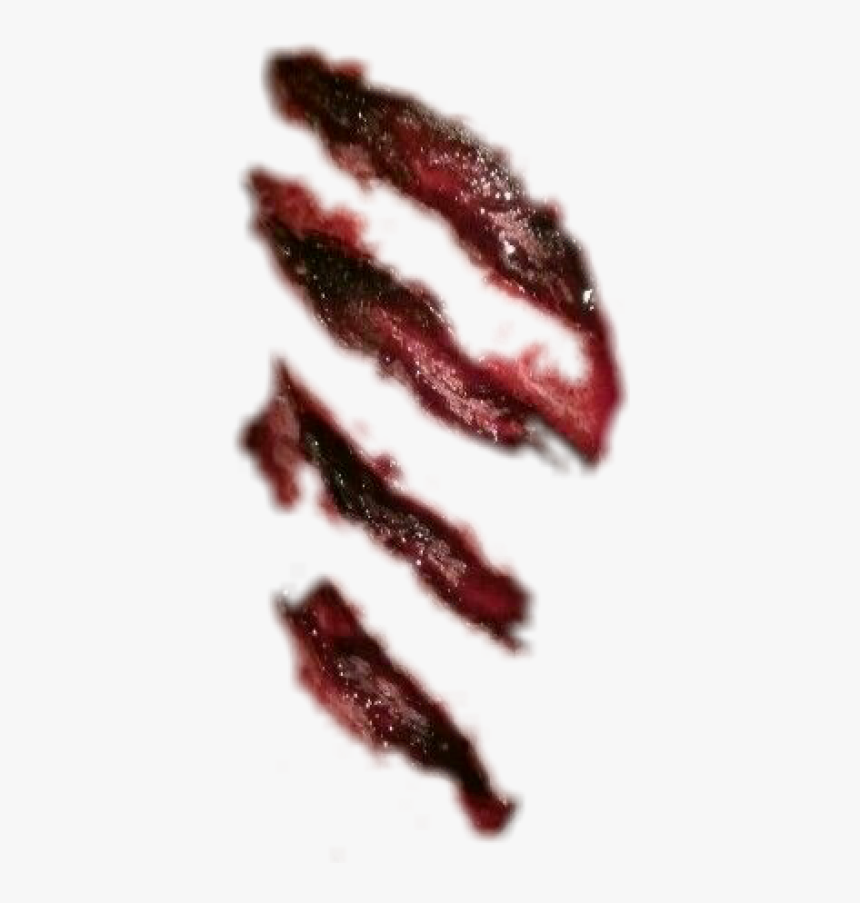 Lip,food,material - Scar Blood Png, Transparent Png, Free Download