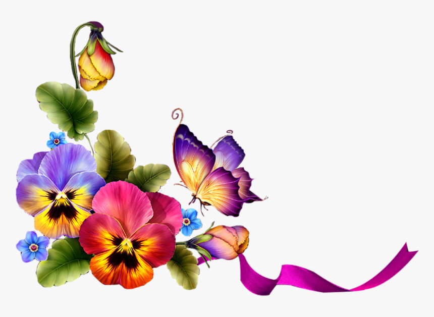 Фотки Stunning Wallpapers, Special Flowers, Borders - Butterfly Borders And Frames, HD Png Download, Free Download