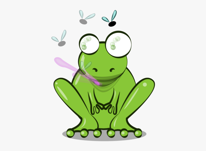 Paper Frog Animation Video - Animation Frog, HD Png Download, Free Download