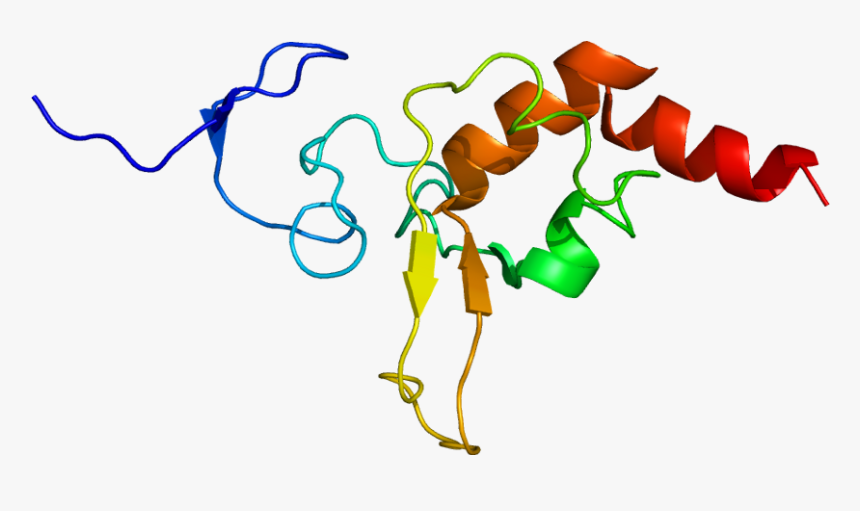 Conclusion On A Research Paper - Structure D Enzyme Xpa, HD Png Download, Free Download