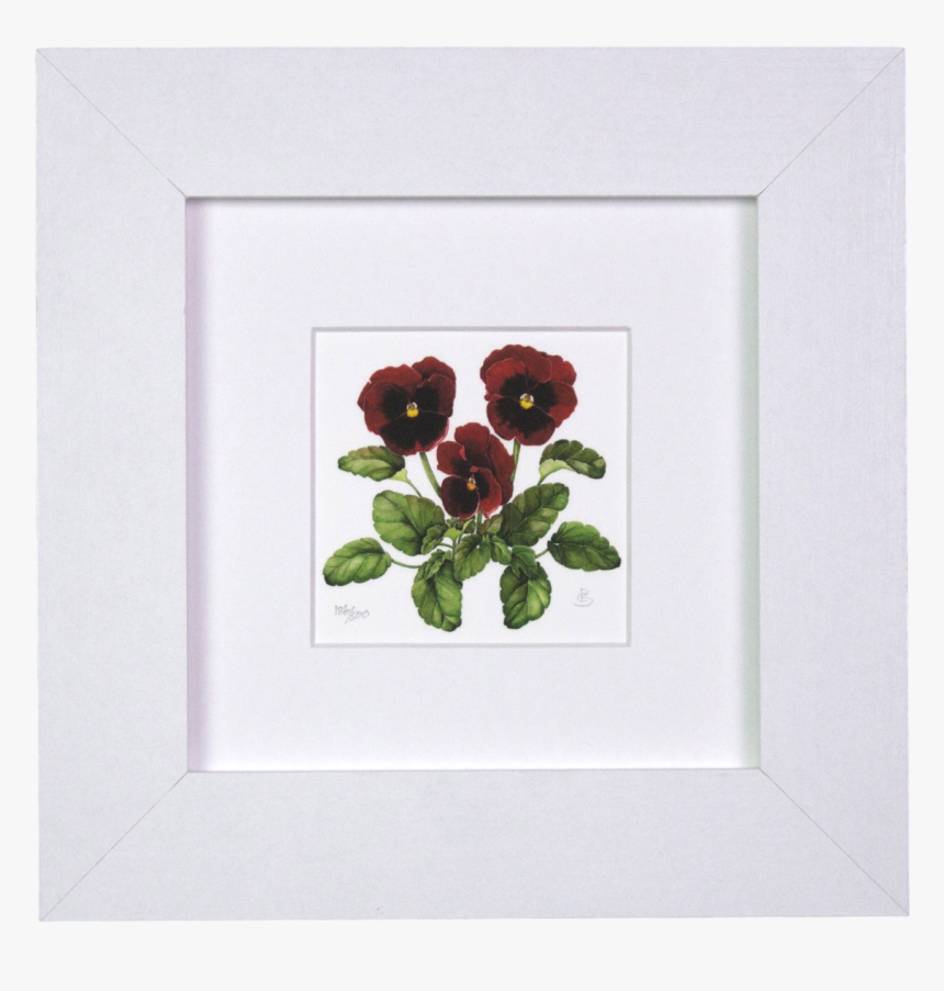 Pansies Mini Print - Garden Roses, HD Png Download, Free Download
