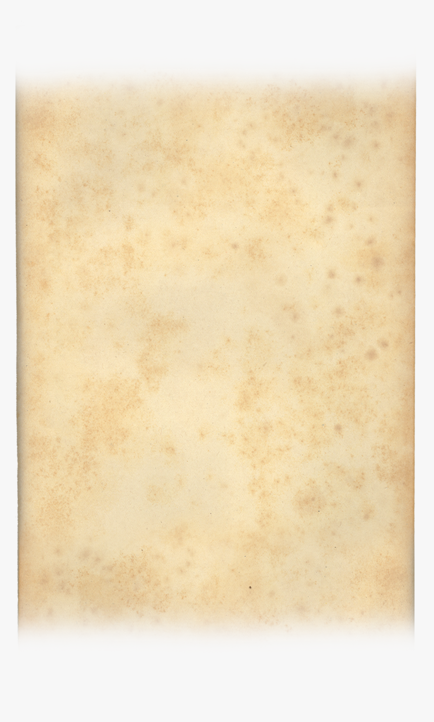 Ivory, HD Png Download, Free Download