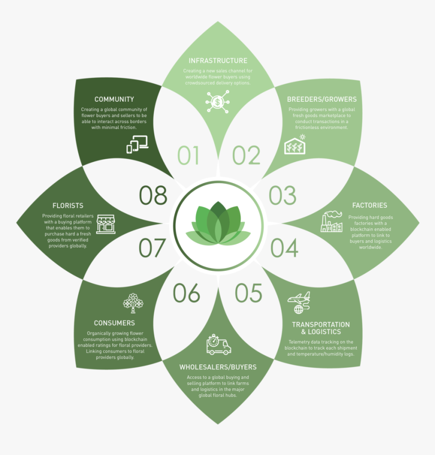 Newflorachain Infographic 8 Petal Flower - Rangoli Symbols, HD Png Download, Free Download