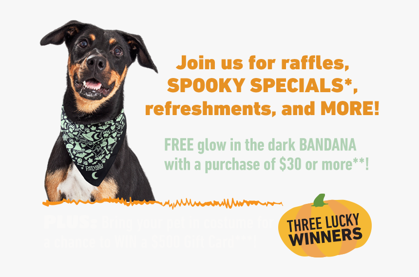 Join For Raffles, Spooky Specials*, Refreshments, And - Companion Dog, HD Png Download, Free Download