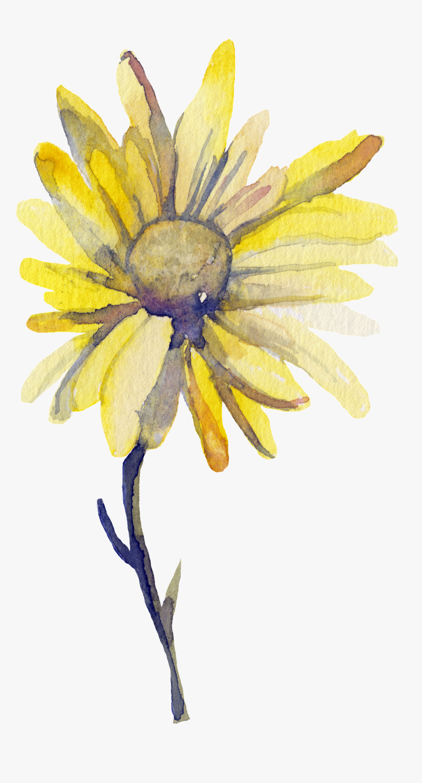 Yellow Sun Flower Transparent Decorative - Watercolour Yellow Flower Transparent Background, HD Png Download, Free Download