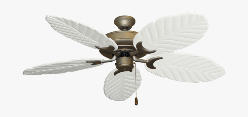 58 - Ceiling Fans With Transparent Background, HD Png Download, Free Download