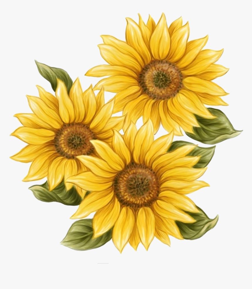 Watercolor Sunflower Png - Aesthetic Sunflower Drawing Easy, Transparent Png, Free Download