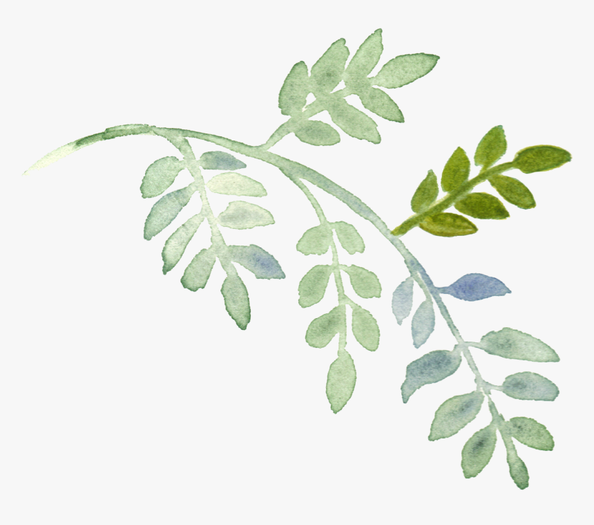 Watercolor Plant Painting Leaves Hand-painted Download - Plants Painting Png, Transparent Png, Free Download