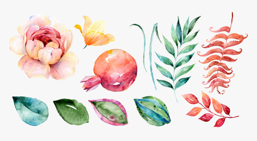 Transparent Watercolor Peony Clipart - Pomegranate Flower Water Color, HD Png Download, Free Download