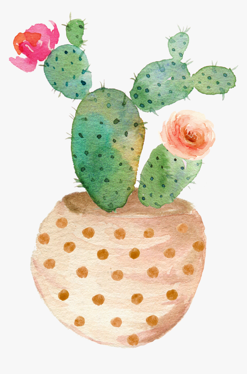 Cactus Vector Transparent Library Watercolor Clipart - Watercolor Cactus Clipart Transparent, Hd Png Download - Kindpng