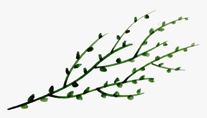 Twig, HD Png Download, Free Download