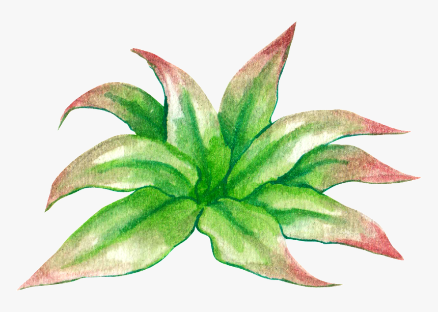 Green Hand Painted Plant Cartoon Transparent Watercolor - Floral Design, HD Png Download, Free Download