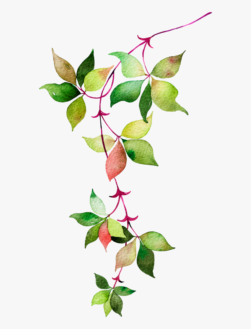Flower Euclidean Icon Watercolor Leaves Green And Red - Green Leaves Watercolor Png, Transparent Png, Free Download