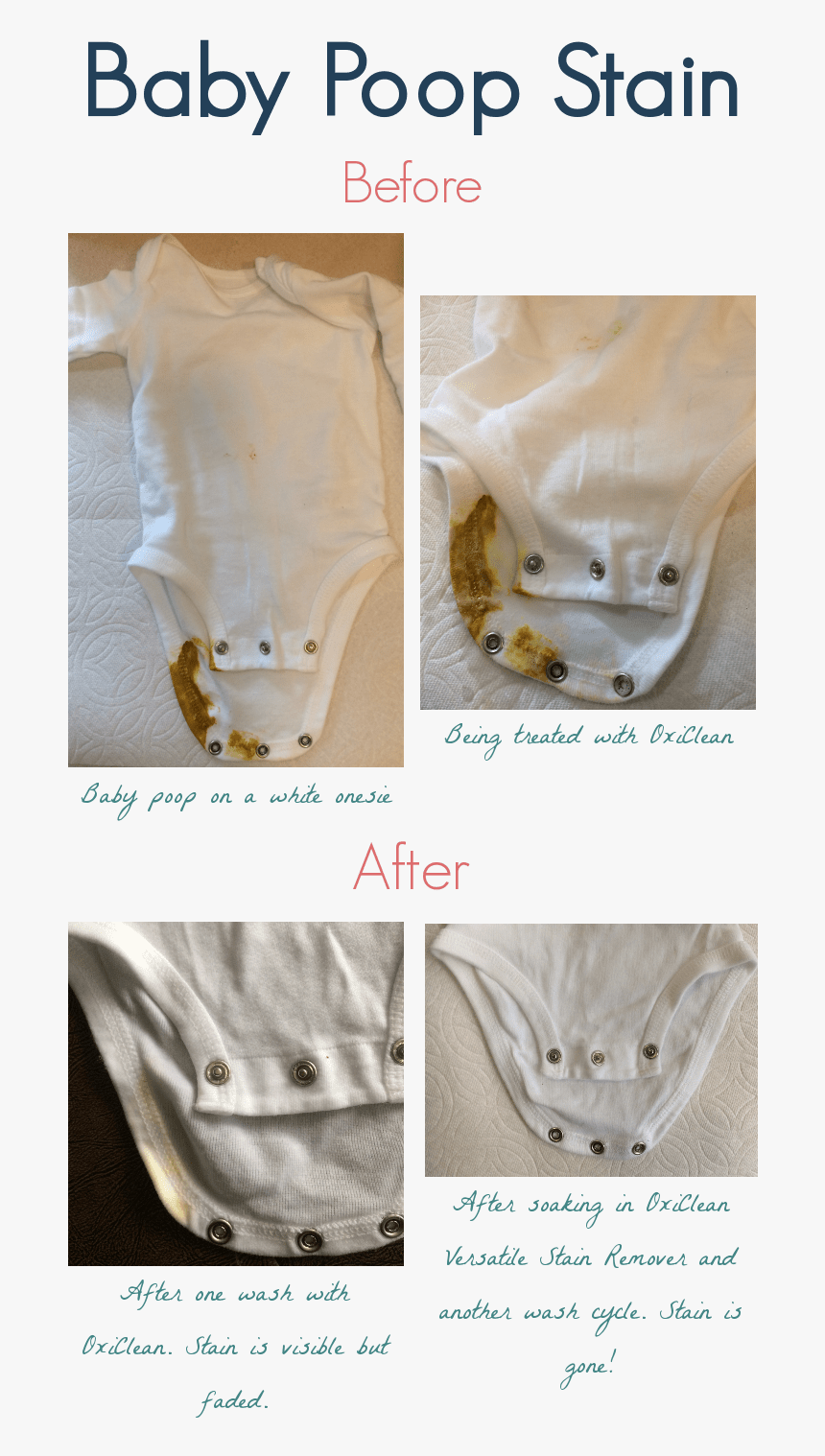 Before And After Pictures Of A Baby Poop Stain Treated - Bone, HD Png Download, Free Download