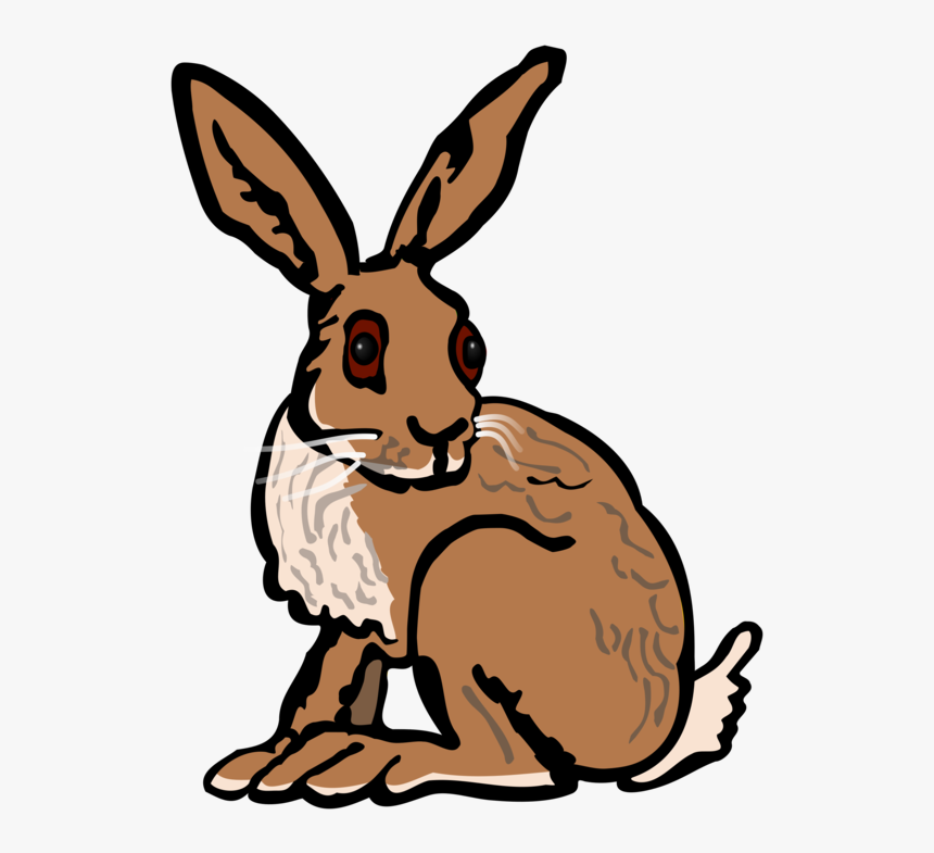Animal, Bunny, Hare, Rabbit, School - Hare Clip Art, HD Png Download, Free Download