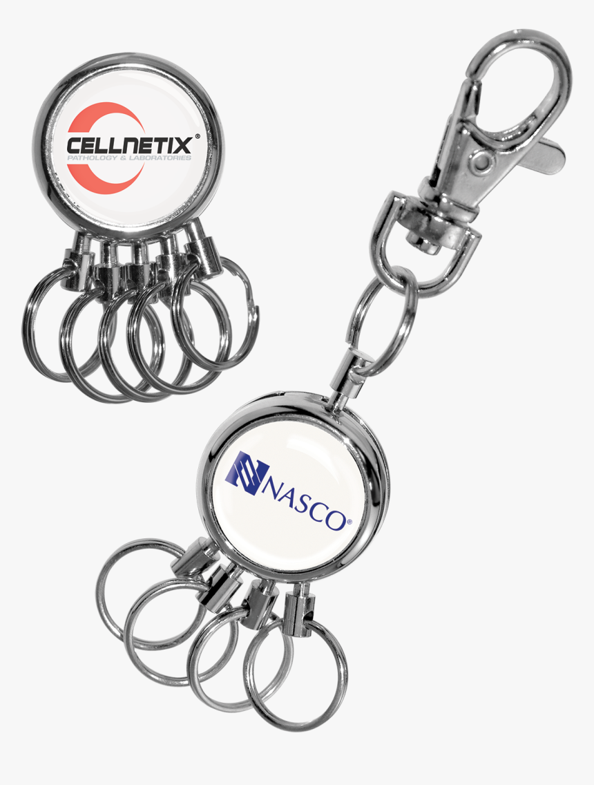 Spider Key Chain Clipart - Cellnetix, HD Png Download, Free Download