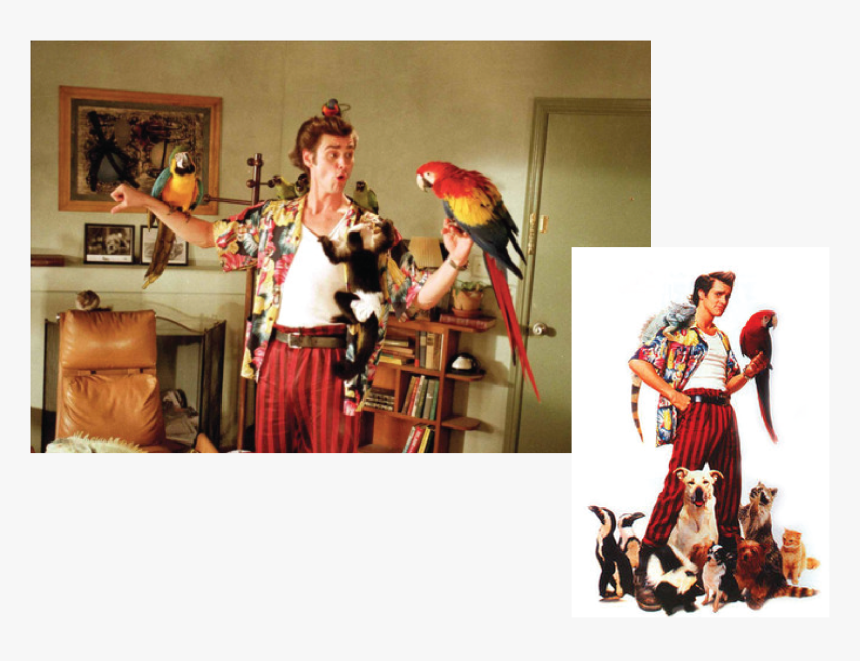 Ace Ventura Pet Detective Scene, HD Png Download, Free Download