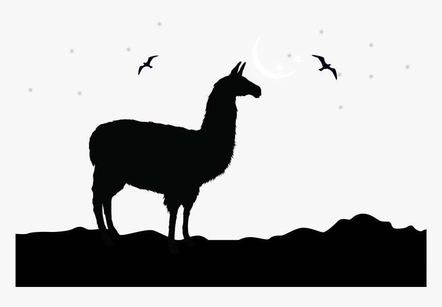 Svg Transparent Library Silhouette Clip Art At - Llama Silhouette, HD Png Download, Free Download